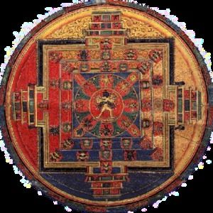 Meet your Posher, Hayley